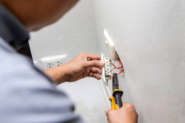 Best Electric Panel Repair  in Carthage, NY